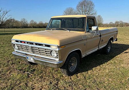 Ford F 100