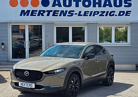 Mazda CX-3 0 Nagisa AWD Aut. LED NAV SHZ Kamera Android