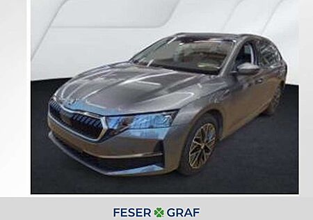 Skoda Octavia Selection 2.0 TDI DSG *RFK SHZ MATRIX*