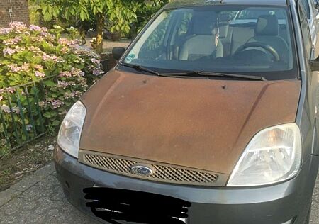 Ford Fiesta 1.4