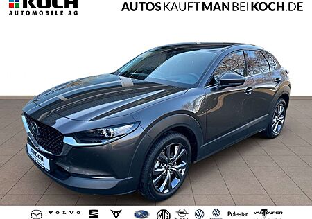 Mazda CX-30 SKY-X M-Hybrid AT AWD MatrixLED BOSE 360 top