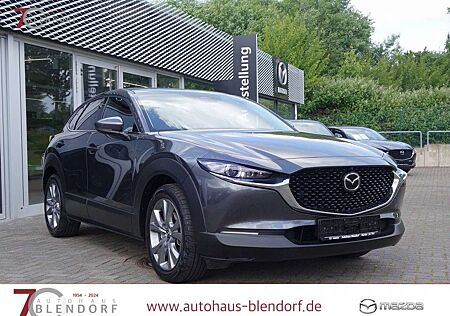 Mazda CX-30 Exclusive 150 Automatik Standheizung|AHK|BOSE