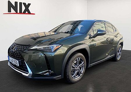 Lexus UX 250h 2.0 Hybrid Executive Line