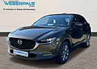 Mazda CX-30 Selection 2WD-LEDER-NAVI-BOSE-360°KAMERA+