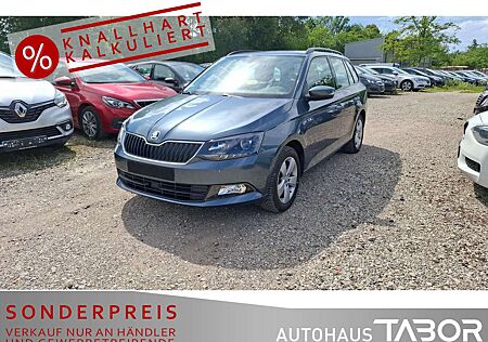 Skoda Fabia Combi 1.0 TSI Style Klima SHZ AHK LM GRA