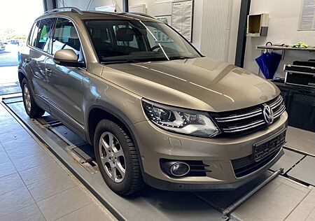 VW Tiguan Volkswagen Cup Sport/2.Hand/Bi-Xenon/Scheckheft/Navi/Tempomat