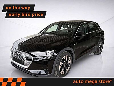 Audi e-tron 55 quattro 95 kWh LUFT/ACC/AHK