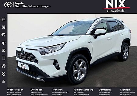 Toyota RAV 4 RAV4 2.5 Hybrid Team D 4x2 AHK NAVI