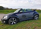 VW Beetle Volkswagen The Cabriolet 1.2 TSI DSG BlueMotion Techn.