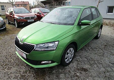 Skoda Fabia Active+WR