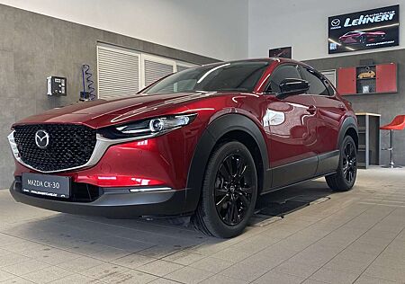 Mazda CX-30 5WGN 2.0L e-SKYACTIV X 186ps 6AT FWD Homura