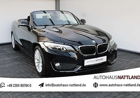 BMW 228 i Cabrio Autom. PDC Navi Bluetooth 1.Hd.