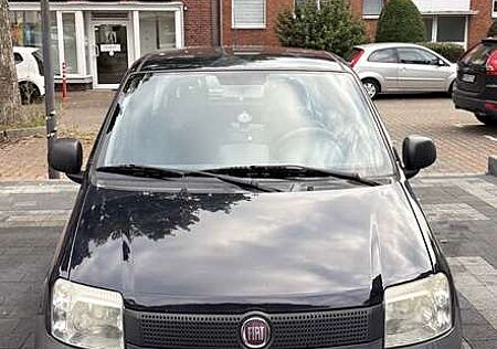 Fiat Panda 1.2 Dynamic tüv Neu