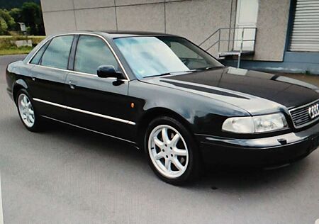 Audi A8 2. 8 QUATTRO LPG (Prins) 80 Lt Tank. xenon