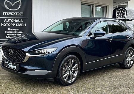 Mazda CX-30 Selection 360° MATRIX BOSE CarPlay Sitzhz