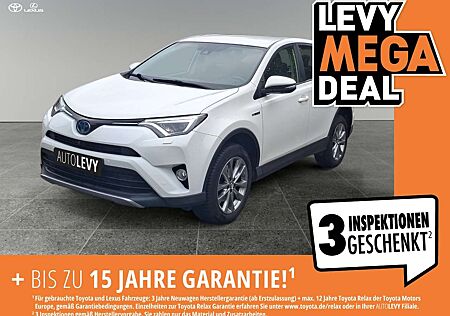 Toyota RAV 4 RAV4 2.5 Hybrid Team D *LHZ*SHZ*ALLWETTER*