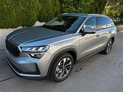 Skoda Kodiaq 2.0 TDI DSG 4x4 Selection ABT 7 Sitzer 19 Zoll AHK