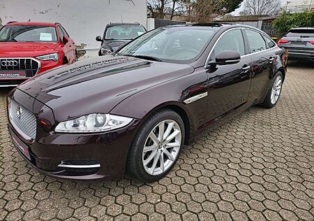 Jaguar XJ Premium Luxury*Pano*Navi*