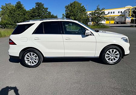 Mercedes-Benz ML 250 BlueTEC 4MATIC 7G-TRONIC