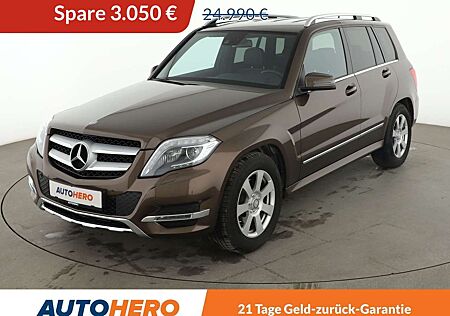 Mercedes-Benz GLK 220 CDI 4Matic BlueEfficiency Aut. *BI-XENON*
