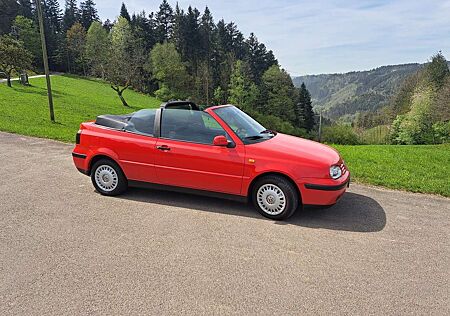 VW Golf Cabriolet Volkswagen Cabrio 2.0 Trendline