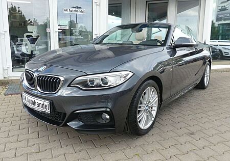 BMW 218 i Cabrio M Sportpaket Xenon Leder Navi