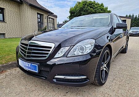 Mercedes-Benz E 350 CDI Leder Pano AHK Sitzklima Beige