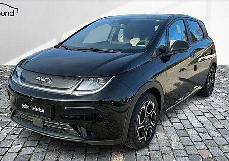 BYD DOLPHIN Design Wärmepumpe Alu LED NAV