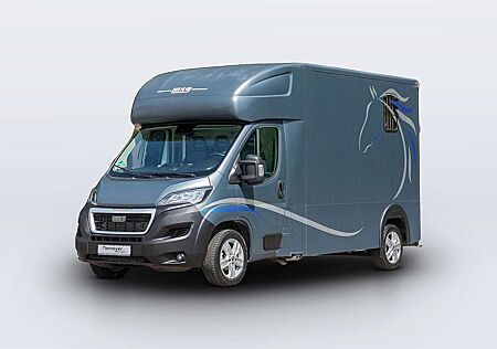 Peugeot Boxer MSG Pferdetransporter Navi AHK GJR