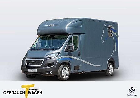 Peugeot Boxer MSG Pferdetransporter Navi AHK GJR