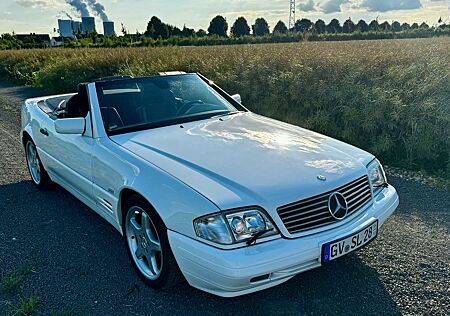 Mercedes-Benz SL 500 top gepflegt und gewartet