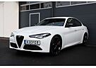 Alfa Romeo Giulia 2.0 Q4/SHZ/LHZ/LED/KAMERA/PDC/BTH/MFL/R19