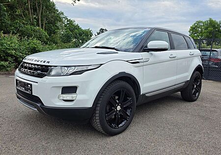 Land Rover Range Rover Evoque TD4 4x4 Automatik Leder Panoramadach Memory-Sitze