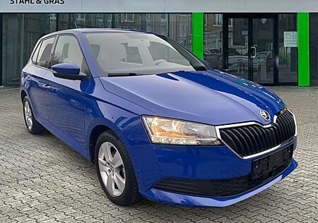 Skoda Fabia Ambition 1.0 MPI Navi Sperrdiff. Apple CarPlay And