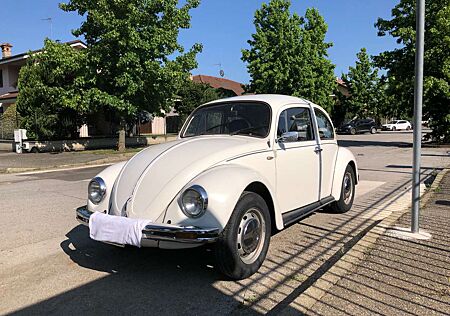 VW Volkswagen Maggiolino
