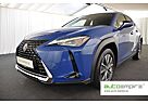 Lexus UX 300e 300e Komfort-Paket LED/CAR-PLAY/KAMERA/17