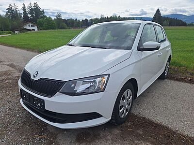 Skoda Fabia Active 1,2 TSI, Klima, 1-Hand, TÜV-neu