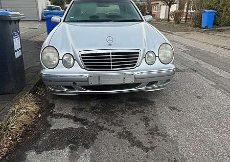 Mercedes-Benz E 240 Elegance