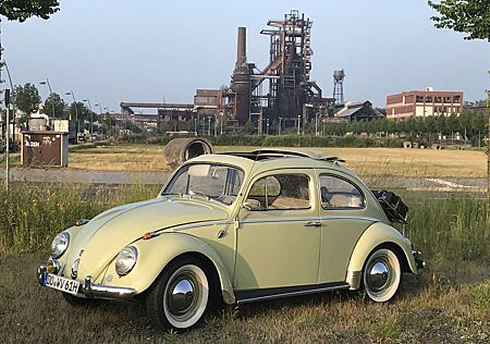Volkswagen Käfer
