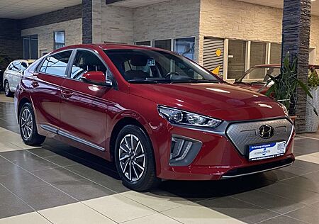 Hyundai Ioniq Elektro R.Cam CarPlay AndroidAuto Tempomat