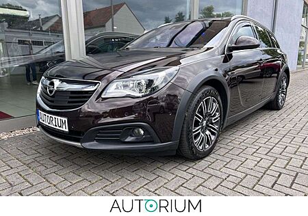 Opel Insignia A Country Tourer Basis 4x4 Pano Leder