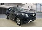 Mercedes-Benz GLE 400 Panorama Standheizung LED LEDER Airmatic