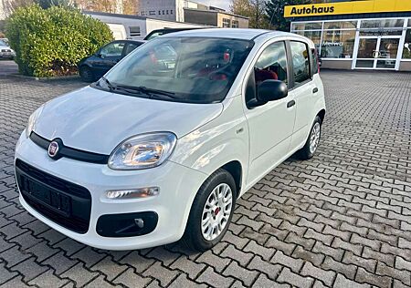 Fiat Panda 1.2 Easy // KLIMA //