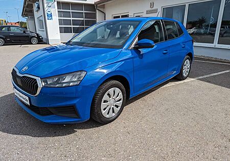 Skoda Fabia Active Klima,Tempomat,DAB,Ganzjahresreifen