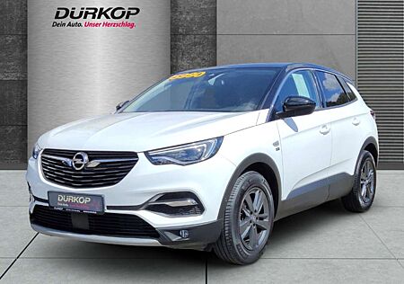 Opel Grandland X Turbo EU6d 2020 Heckkamera