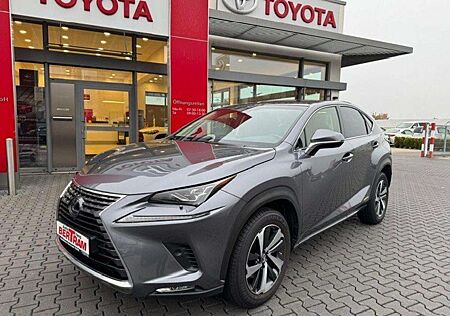 Lexus NX 350h 300 h E-Four