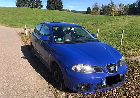 Seat Ibiza 1.2 12VBild Edition