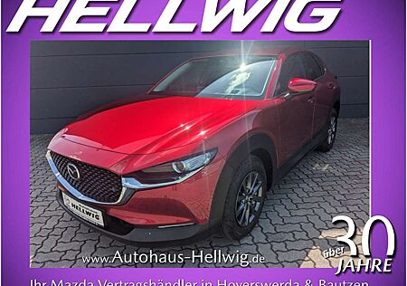 Mazda CX-30 2.0l Selection Navi Kamera Head-up