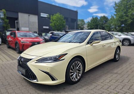 Lexus ES 300 h Luxury TAXI Paket + Folierung