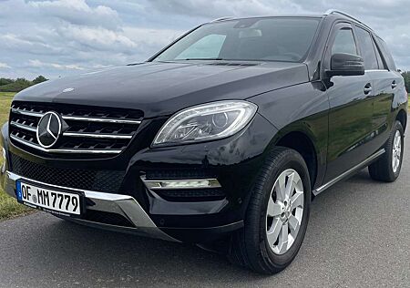 Mercedes-Benz ML 250 CDI BlueTec* Euro 6*Anhänger Aut*Tip-Top